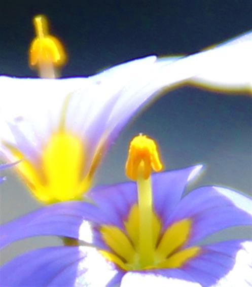 Arte en Fotografia