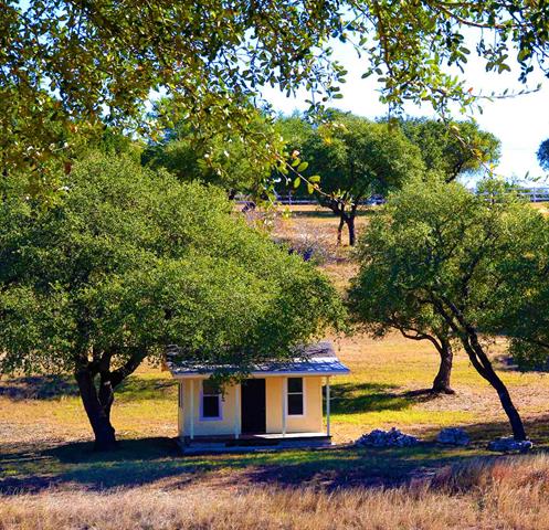 Homes For Sale Art