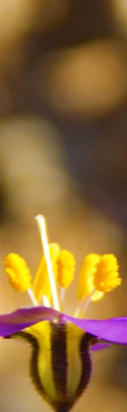 Fotografia y Fotografos