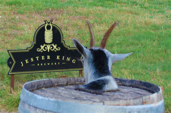 Jester King Photos