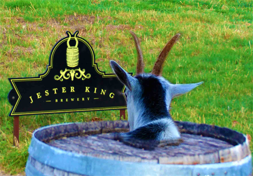 Jester King INN